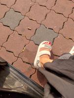 Damen Sandalen Nordrhein-Westfalen - Gelsenkirchen Vorschau