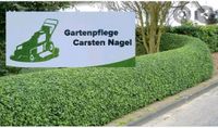 Vertikutieren/ Gartenpflege Schleswig-Holstein - Eckernförde Vorschau