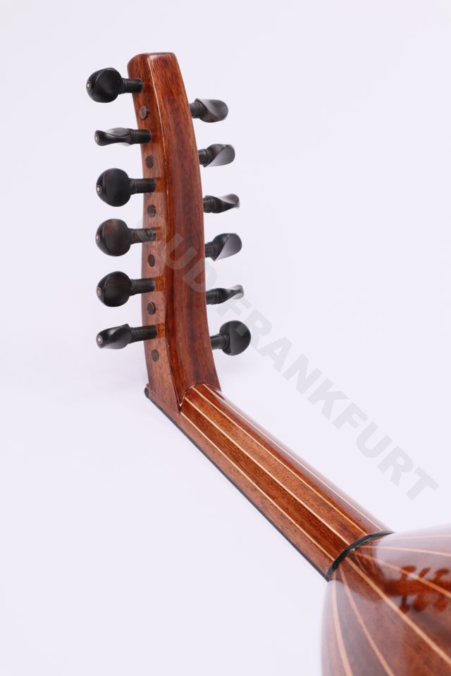 Professional Arabic Oud Instrument عود عربي إحترافي in Frankfurt am Main