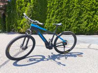 E-Bike Trek Powerfly 5 Fahrrad Mountainbike Bayern - Pentling Vorschau