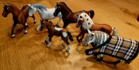 Schleich Pferde alle zusammen Schnäppchen Bayern - Erding Vorschau