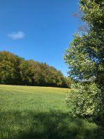 Bienen Stellplatz Waldrand Baden-Württemberg - Pliezhausen Vorschau