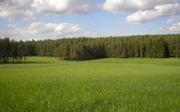 Wiese Feld Freizeitgrundstück Bayern - Neukirchen-Balbini Vorschau