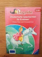 Leserabe "Zauberhafte Geschichten für Erstleser" Nordrhein-Westfalen - Dörentrup Vorschau