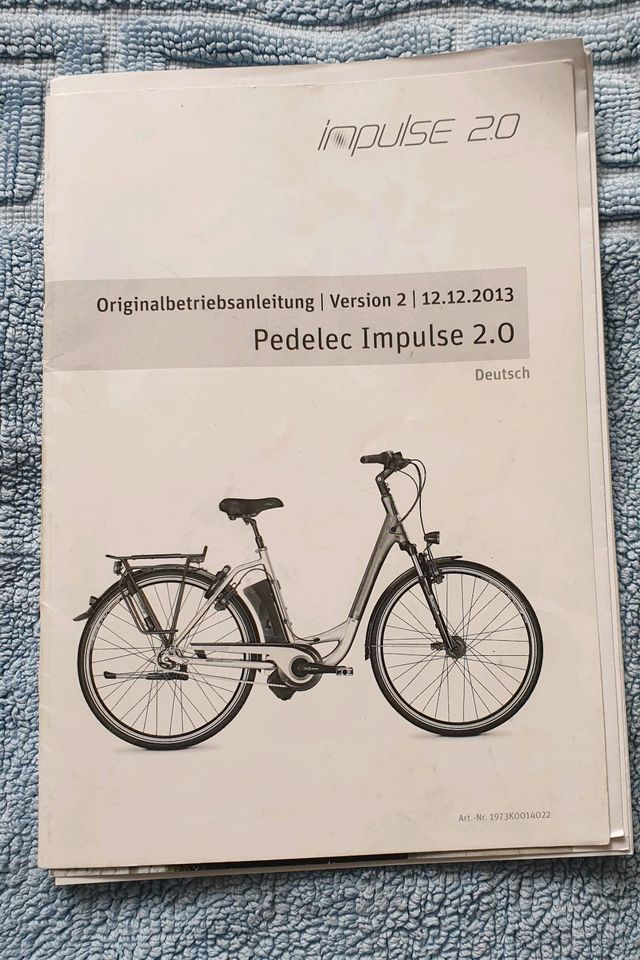Ebike Raleigh Dover Fahrrad in Hamburg