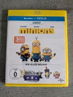 Minions Wie Alles Begann Blu-Ray Kreis Pinneberg - Halstenbek Vorschau