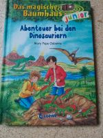 Das magische Baumhaus junior - Abenteuer bei den Dinosauriern Niedersachsen - Syke Vorschau