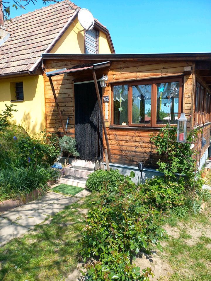 Wohnhaus,Ferienhaus in Ungarn in Buch a. Wald