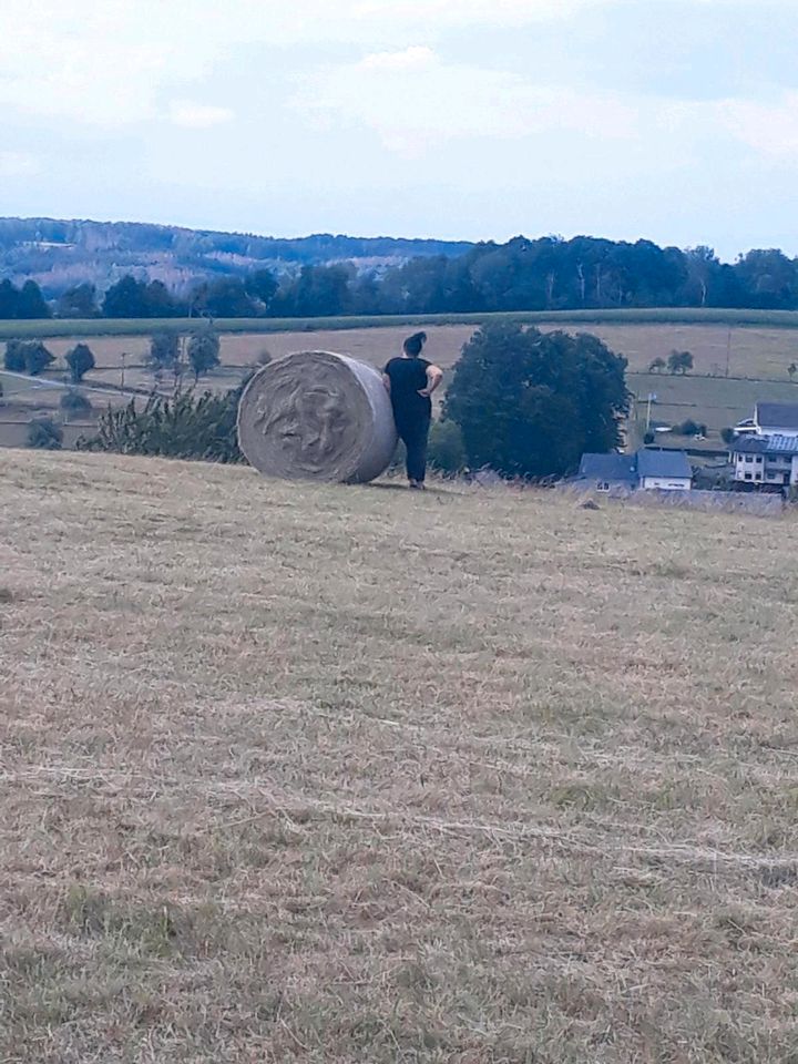 Wiese zum Heu machen in Nümbrecht