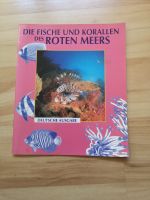 TAUCHEN - Die Fische und Korallen des Roten Meers Baden-Württemberg - Mannheim Vorschau