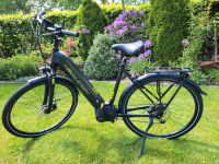 Raleigh Kent Edition E-Bike 625Wh 28 Zoll schwarz Niedersachsen - Hesel Vorschau