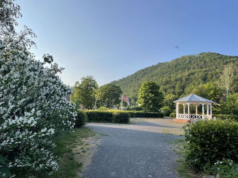 Erschlossenes Baugrundstück mit ruhigem Garten, Blick auf Südharz in idyllischem Erholungsort in Harztor Ilfeld