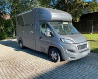 Pferdetransporter Peugeot MSG Stablehopper 3,5 t Bayern - Mammendorf Vorschau