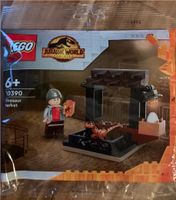 LEGO Jurassic World 30390 Dinosaurier Markt OVP Polybag Sachsen-Anhalt - Sandersdorf Vorschau