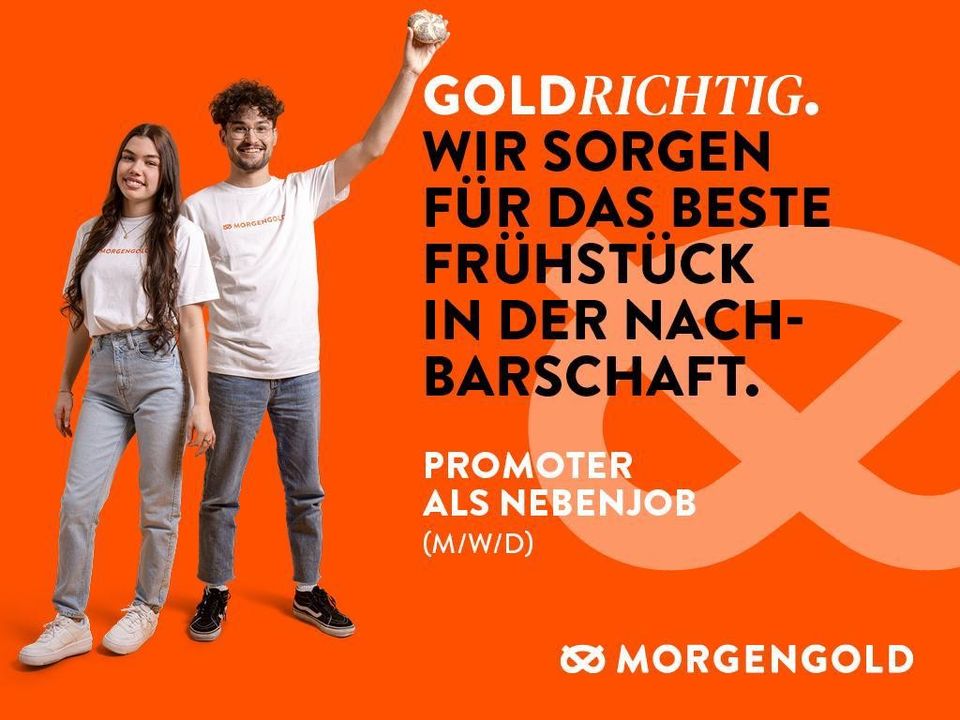 Nebenjob, Ferienjob, für Schüler, Mama&Papa, Rentner in Groß-Gerau