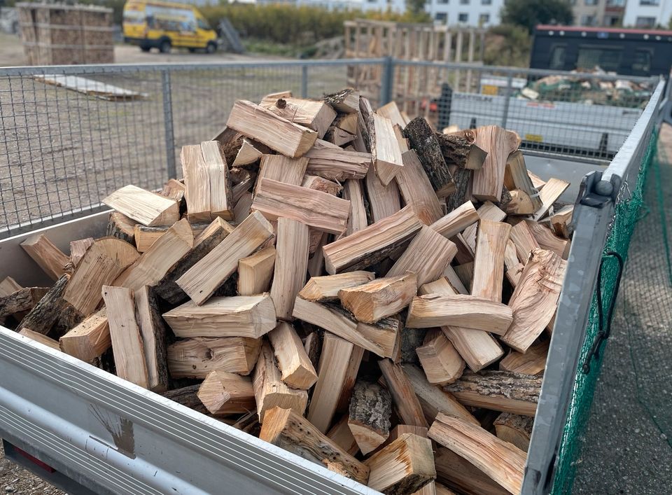 Buche Kaminholz Brennholz, kammergetrocknet und gespalten. SELBSTABHOLUNG ab sofort möglich! in Kamp-Lintfort