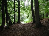 Kaufe Ackerland, Wald und Wiesen im Raum Bad Essen Niedersachsen - Bad Essen Vorschau