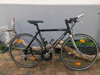 Checker Pig Renn/Fitness Bike Hessen - Friedberg (Hessen) Vorschau