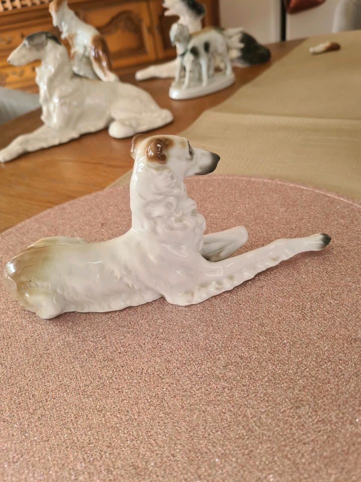 Sitzendorf Porzellan Figur Hund Barsoi Windhund Porzellanfigur in Herford