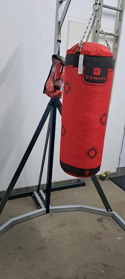 Boxsack mit Boxhandschuhen in Ludwigshafen