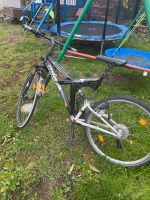 Fahrrad zu verkaufen Sachsen-Anhalt - Zörbig Vorschau