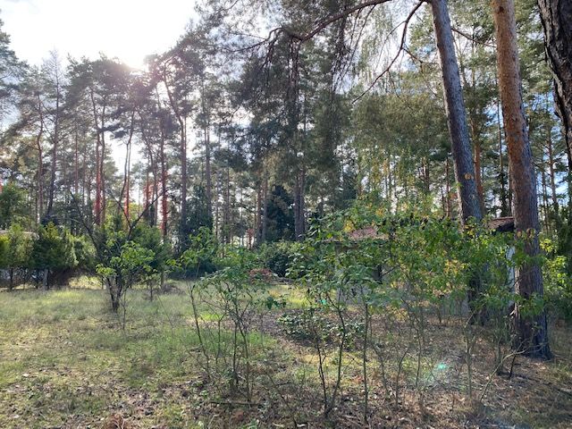 Baugrundstück in naturschöner Umgebung! in Mittenwalde