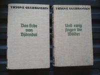 Das Erbe von Björndal   Und ewig singen die Wälder Sachsen - Marienberg Vorschau