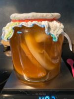 Kombucha Scoby Essigmutter Schleswig-Holstein - Lübeck Vorschau