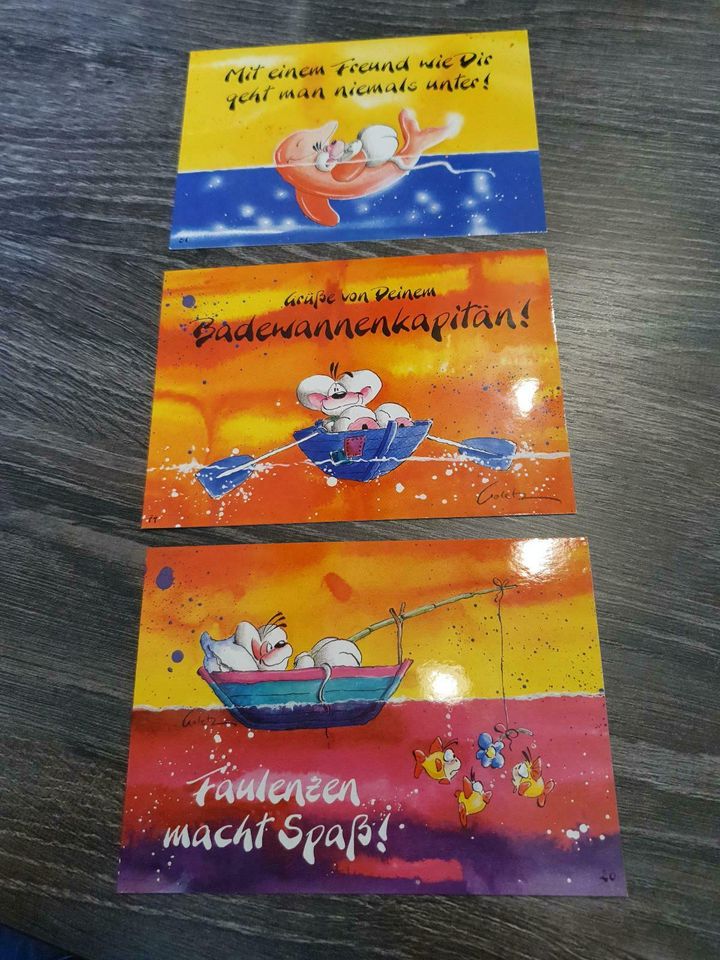 Diddl Maus Postkarten Geschenk Karten sammeln in Weiden (Oberpfalz)