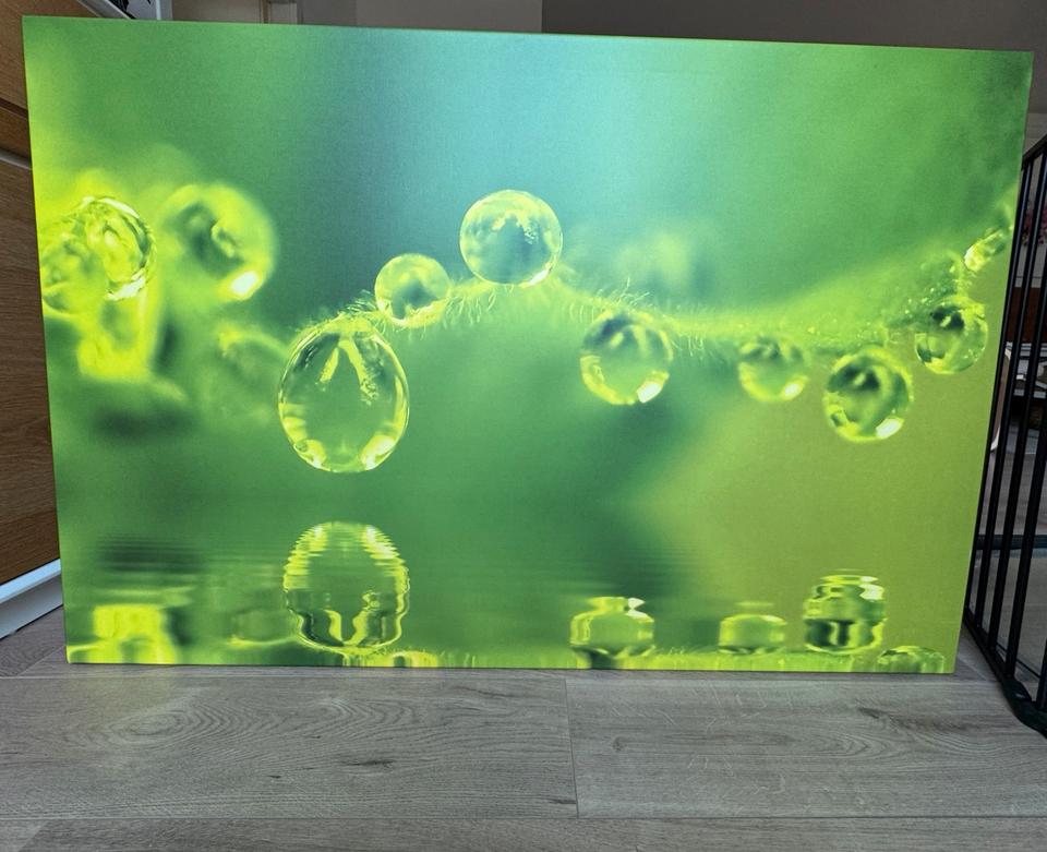Bild, Fotodruck auf Leinwand 120 x 80 cm, sehr guter Zustand in Halle