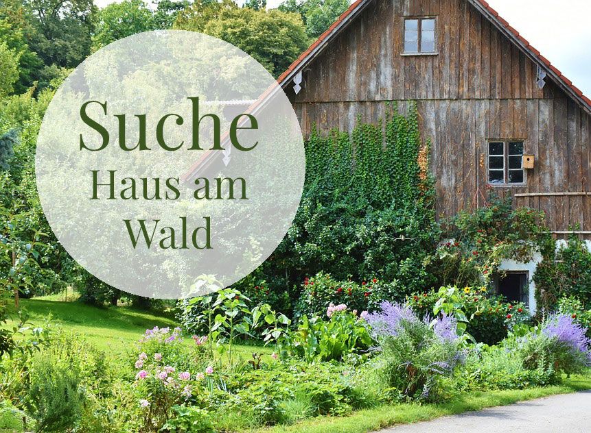 Suchen kleines Haus zur Miete in Waldnähe mit Garten in Bautzen