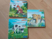 Kinderbuch Tiere Klappenbuch Guckloch Spielbuch Baden-Württemberg - Karlsruhe Vorschau
