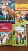 Bibi & Tina Bücher Bayern - Großmehring Vorschau