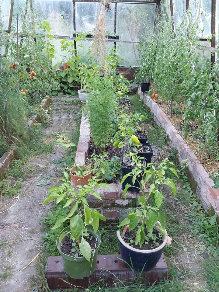 Haus großes Grundstück Wald Quelle Gewerbe Garten fast Alleinlage in Sonneberg