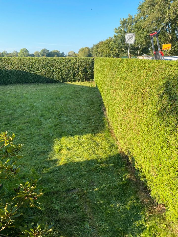 Hecke schneiden ✅ Strauchschnitt ✅ uvm. in Edemissen