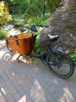 E-Bike Lastenrad erst 129 km gefahren Häfen - Bremerhaven Vorschau