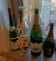 drei große Weinflaschen Sektflaschen Hessen - Schrecksbach Vorschau