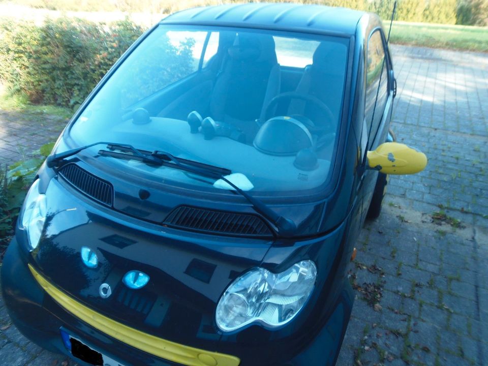 Smart ForTwo coupé pure 37kW pure in Gönnersdorf (Eifel)