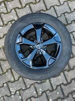 Audi Q3 Winterräder 17" Felgen Hankook Evo 2 5 Arm Secare Schwarz Bayern - Forchheim Vorschau