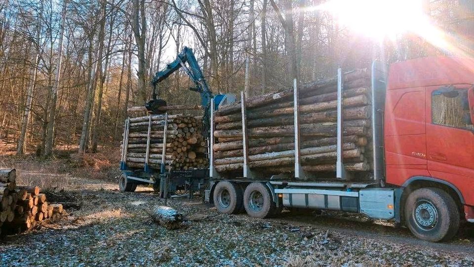 Stammholz Fichte Käferfichte Lkw geliefert Poltern Brennholz in Gladenbach