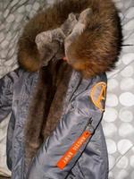 Suche Arctic Army Winterjacke mit Echtpelz Hessen - Wiesbaden Vorschau