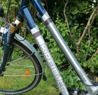 Kreidler Fahrrad 55cm Rahmenhöhe 28er 21 Gang Niedersachsen - Leer (Ostfriesland) Vorschau