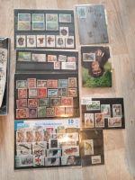 Briefmarken Briefmarkenalben München - Trudering-Riem Vorschau