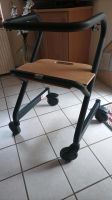 Indoor Rollator Sachsen - Riesa Vorschau