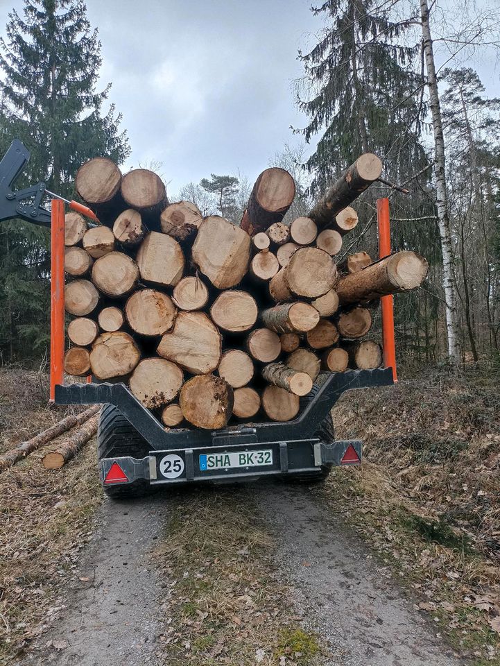 Verkaufe Stammholz Hartholz Weichholz Brennholz BucheEicheFichte in Crailsheim