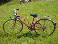 Fahrrad    Reifen 37-622 Farbe rot 28  Flandria Saarland - Perl Vorschau