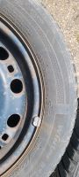 Winterreifen Hankook 185/60 R15 von  2017 Nordrhein-Westfalen - Tecklenburg Vorschau