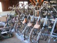 Fahrradständer Stahl verzinkt musterbild räder auch zu verkaufen Baden-Württemberg - Friesenheim Vorschau