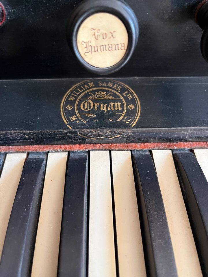 Harmonium Alt in Hückelhoven