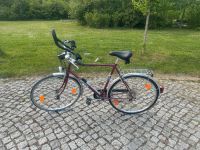 Herren Fahrrad 28 Zoll, 5 Gang Sachsen - Zwenkau Vorschau